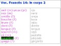 Francés vocabulario 14 - le corps 2
