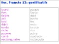 Francés vocabulario 13 - qualificatifs